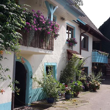 Rosenhof Broggingen Lejlighed Herbolzheim Eksteriør billede