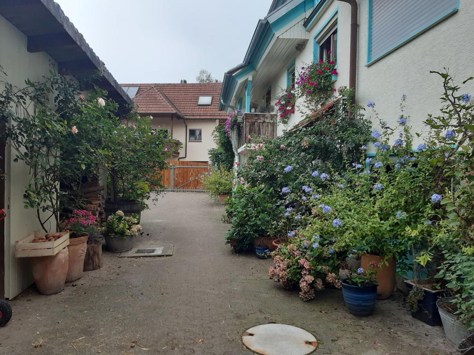 Rosenhof Broggingen Lejlighed Herbolzheim Eksteriør billede